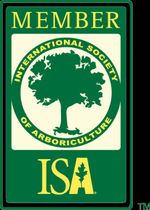 ISA Member